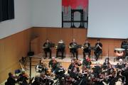 IMG 5258