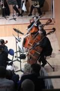 IMG 5271